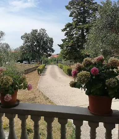 Lejlighed Petra Bibinje